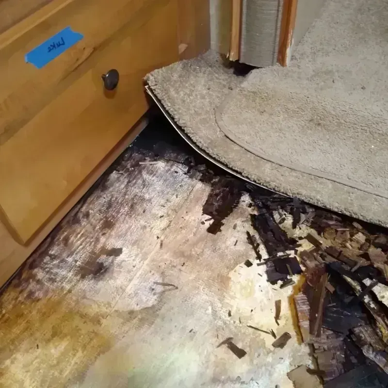 Best Wood Floor Water Damage Service in Pickens, MS